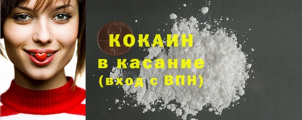 бошки Бронницы