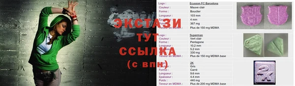 a pvp Бородино