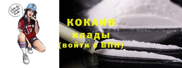a pvp Бородино
