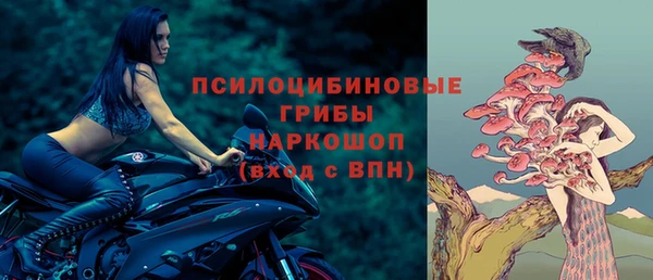 бошки Бронницы