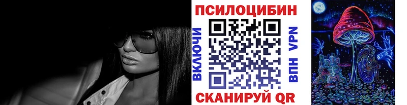 blacksprut онион  Дигора  Псилоцибиновые грибы Psilocybe 
