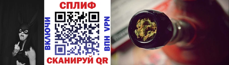 Конопля Ganja  Дигора 
